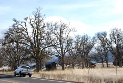 DSC_0024 (Large).JPG